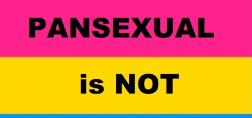 Diferencia entre bisexualidad y pansexualidad